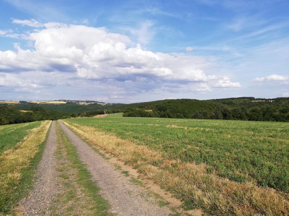 Ferienwohnung Altmaier - Ferien Auf Dem Lande Griebelschied Esterno foto